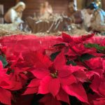 Chrsitmas 2019 2