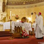 PCPV_20251116_110449