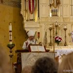 PCPV_20251116_112101